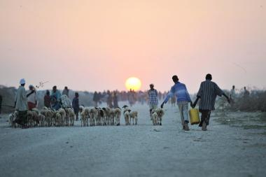 Two young boys carrying water walk down a road next to a camp for internally displaced people near Jowhar, Somalia - Image by UN - CC BY-NC-ND 2.0