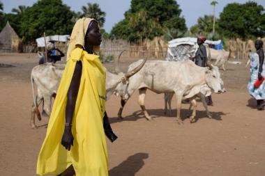 Young Sudanese woman in yellow with livestock in village (c) Mercy Corps