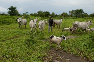 The people of Ta Kuti village, Niger State, Nigeria, are pastoralists and beneficiaries of Nigeria's Fadama II project. Credit: Arne Hoel/World Bank