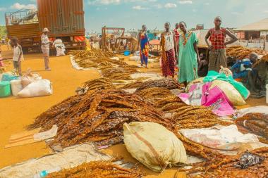 Image of women selling fish in Bor town, Jonglei State, South Sudan