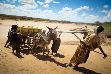 Drought in Kenya's Ewaso Ngiro river basin. Credit: Water Alternatives Photo/ Climate Center