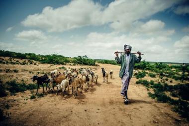 Credit: S. Sheridan - Ethiopia, 05/2016 (Mercy Corps)