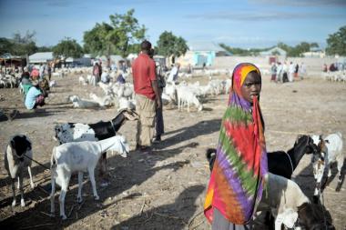 A girl stands watch over a herd of goats at Bakara Animal Market in Mogadishu.