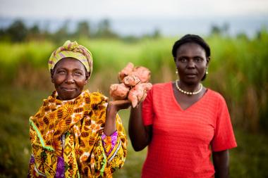 Women smallholder farmers in Kenya grow high-value crops like sweet potatoes to improve their food security and increase incomes.