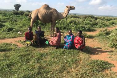  Samburu pastoralist women after a Focus Group Discussion, with a camel feeding on salts in the background, Loltulelei village, Samburu County, Kenya - Image by Jennifer Lekasuyanj / EAMDA