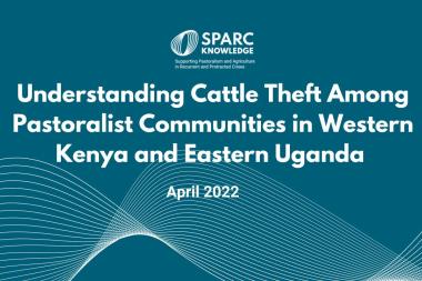 Understanding Cattle Theft Among Pastoralist Communities in Western Kenya and Eastern Uganda