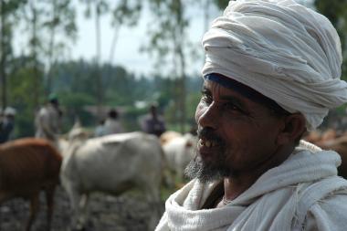 A Ghibe valley farmer in Ethiopia - Image by Apollo Habtamu / ILRI -CC BY-NC-ND 2.0