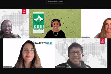 A screenshot of five women taking part in an online webinar