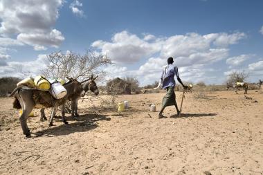 Transporting water containers from distribution point. Credit: Photo by Jonathan Kalan (p-KEN0646)/ IFRC