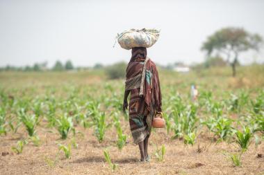 Une ferme à N’djamena, Tchad © mbrand85/ Shutterstock