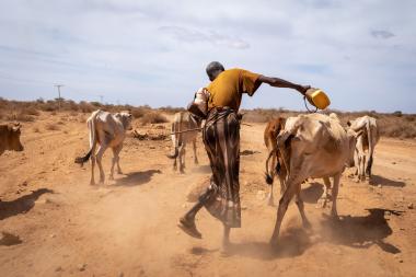 Somali region drought response/ Photo Credit: UNICEF Ethiopia/2022/Mulugeta Ayene (CC BY-NC-ND 2.0)