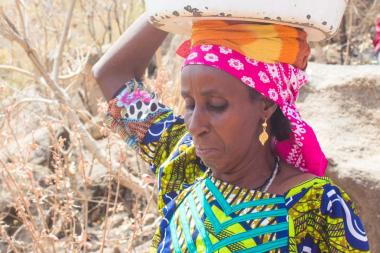  A woman wearing a brightly coloured top carries firewood on her head