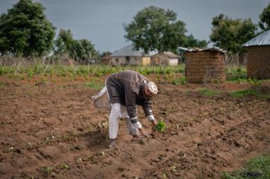 Farming in Ganawuri, Plateau state, Nigeria. Photo: Elphas Ngugi / Supporting Pastoralism and Agriculture in Recurrent and Protracted Crises (SPARC)