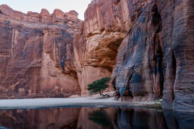Guelta d'Archei waterhole near oasis, Ennedi Plateau, Chad, Africa. Image by Beata Tabak / shutterstock.