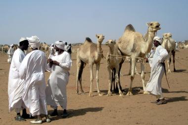 Herders at the camel market on the far west side of Omdurman, Sudan - Image by David Stanley - CC BY 2.0