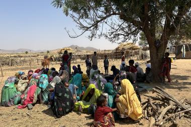 Un groupe de femmes se rassemble sous un arbre par une journée ensoleillée 
