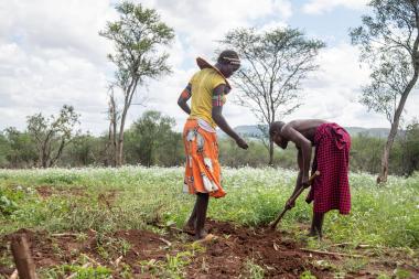 A young woman and a man farming in a field