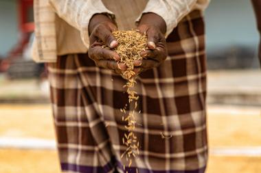 Une femme avec des grains de blé dans la main, Bénin - Image de Jimmy Kets - CC BY-NC-ND 2.0 