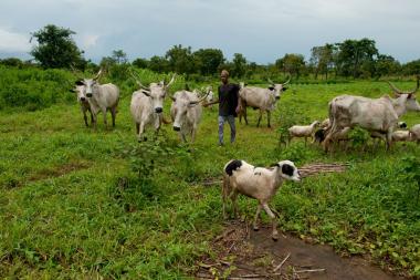 The people of Ta Kuti village (Niger State) are pastoralists and beneficiaries of Nigeria’s Fadama II project. Photo: Arne Hoel/World Bank