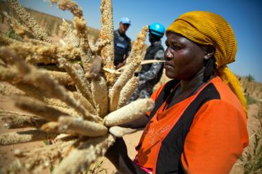 A woman farmer collects millet crop in El Fasher, Sudan - Image by Albert Gonzalez Farran / UNAMID