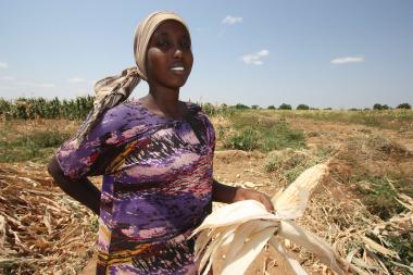 Irrigation scheme in Isiolo, Kenya - Image by Martin Karimi / EU/ ECHO - CC BY-ND 2.0