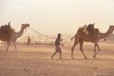 Man walking with camels in Kenya - Photo by Curt Carnemark / World Bank - CC BY-NC-ND 2.0 DEED