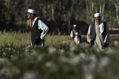 Men on the way to mosque in Bamiyan - Image by Eric Kanalstein / UN - CC BY-NC-ND 2.0 DEED