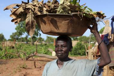 Pastoralist carrying maize